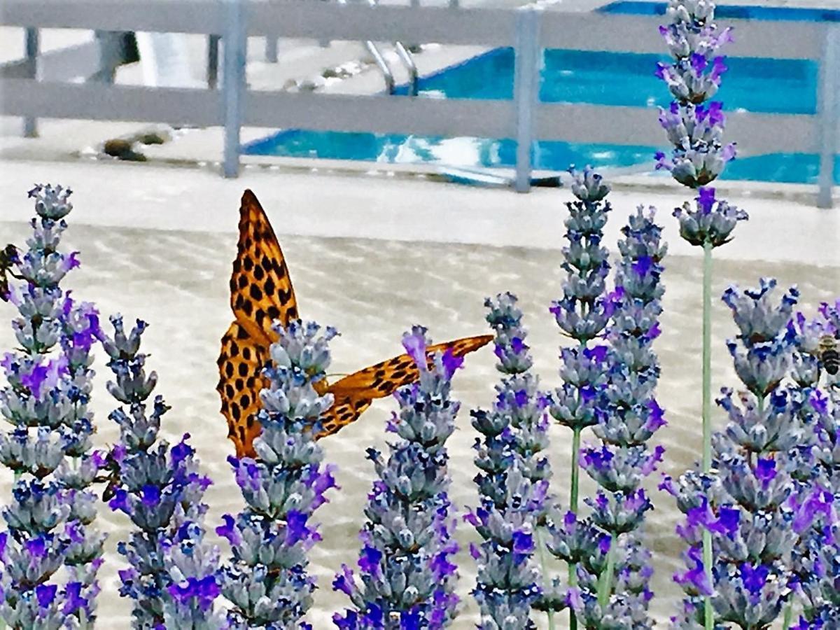 Prytaneio Design Hotel Dodoni Dış mekan fotoğraf