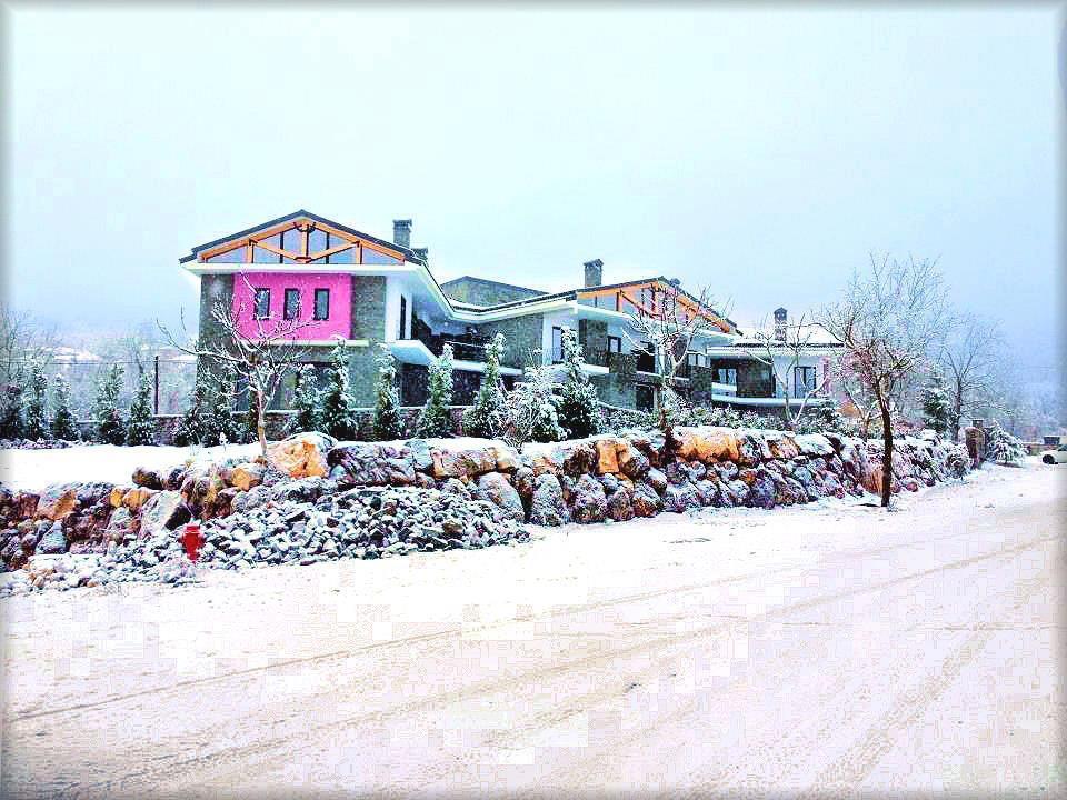 Prytaneio Design Hotel Dodoni Dış mekan fotoğraf