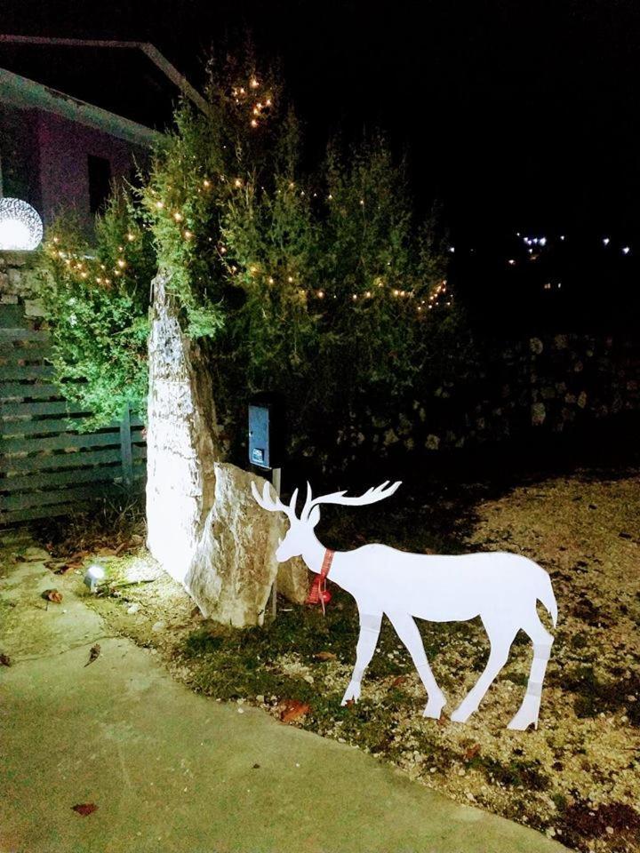 Prytaneio Design Hotel Dodoni Dış mekan fotoğraf
